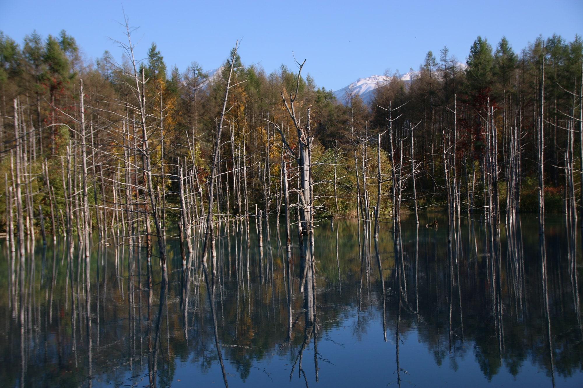 Furano Shiyuirin Ξενοδοχείο Kamifurano Εξωτερικό φωτογραφία