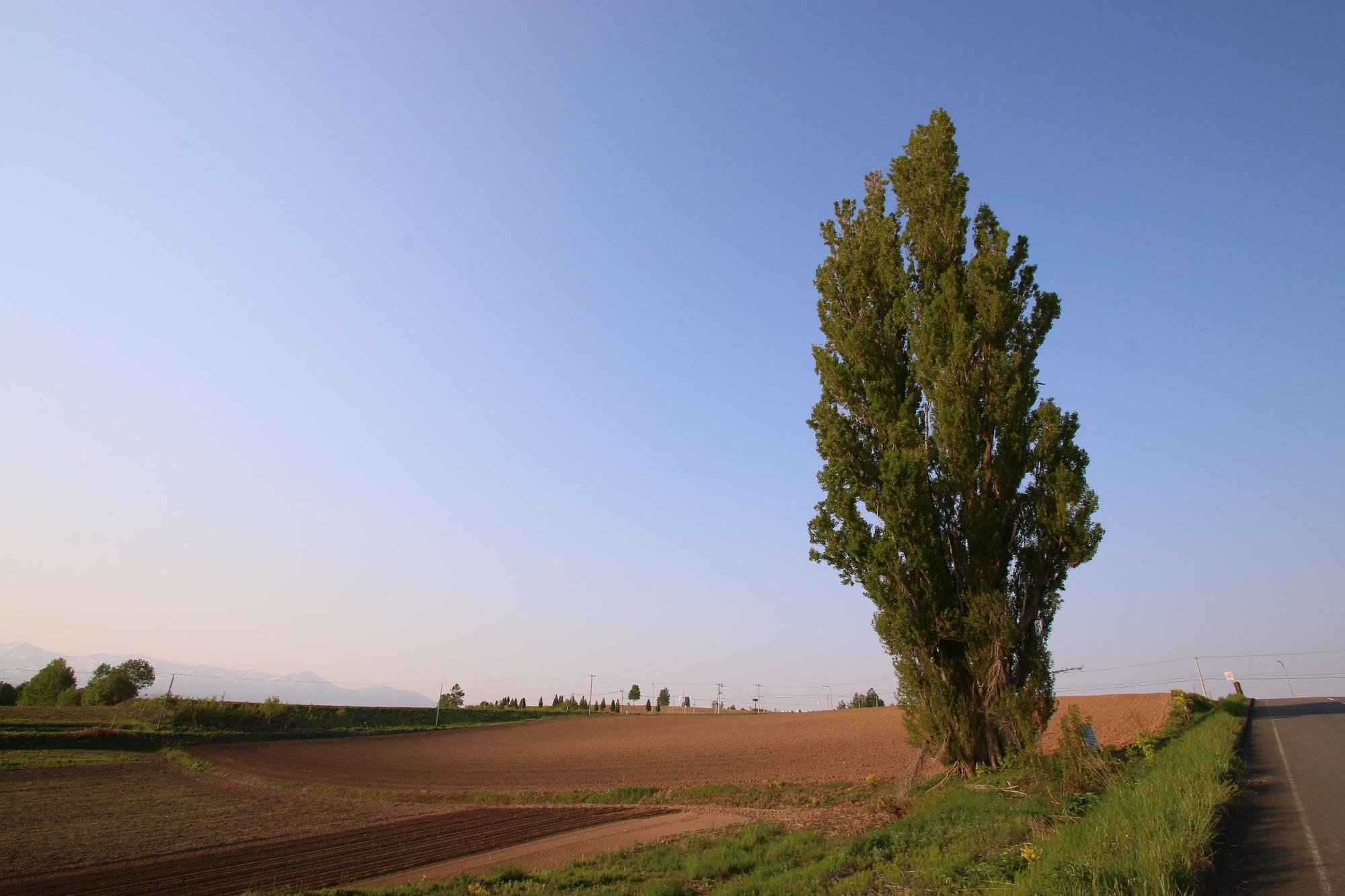 Furano Shiyuirin Ξενοδοχείο Kamifurano Εξωτερικό φωτογραφία